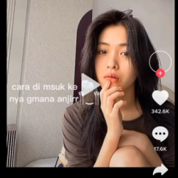 Heboh..!! Video Gajah Viral Tiktok & Instagram