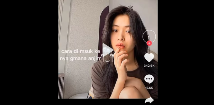 Heboh..!! Video Gajah Viral Tiktok & Instagram