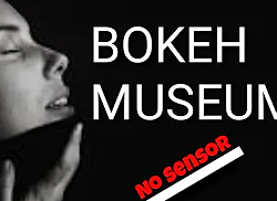Vina mp3 no museum twitter video alfie bokeh garut sensor Video Bokeh