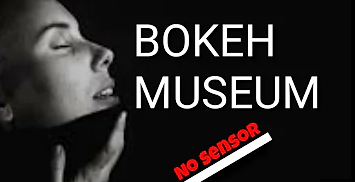 Video Bokeh Full 2018 mp3 Bokeh Museum Full HD