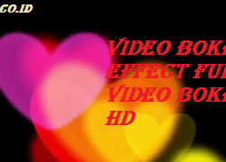 Video Bokeh Effect Full Video Bokeh HD
