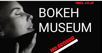 Video Bokeh Museum Sexxxxyyyy Bokeh 18 Se 2021 No Sensor (Update)