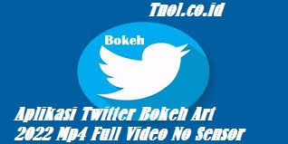 Aplikasi Twitter Bokeh Art 2022 Mp4 Full Video No Sensor