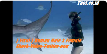 [ Viral ] Human Male x Female Shark Video Twitter new