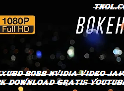 Xnxubd 2022 Nvidia Video Japan Apk Download Gratis Youtube