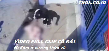 Video Full Clip cô gái bị đâm ở vương thừa vũ