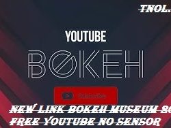 New Link Bokeh Museum 2023 Free Youtube No Sensor