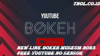 New Link Bokeh Museum 2023 Free Youtube No Sensor