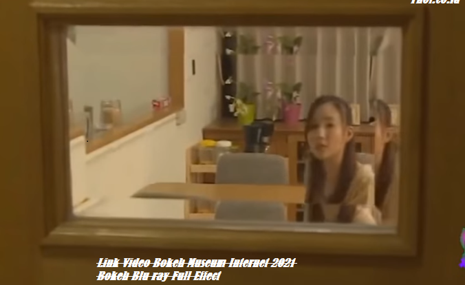 Link Video Bokeh Museum Internet 2021 Bokeh Blu ray Full Effect
