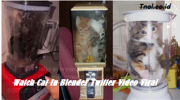 Watch Cat In Blender Twitter Video Viral