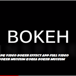 Apk Video Bokeh Effect App Full Video Bokeh Museum Korea Bokeh Museum